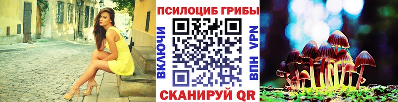 Галлюциногенные грибы Cubensis  Белозерск 